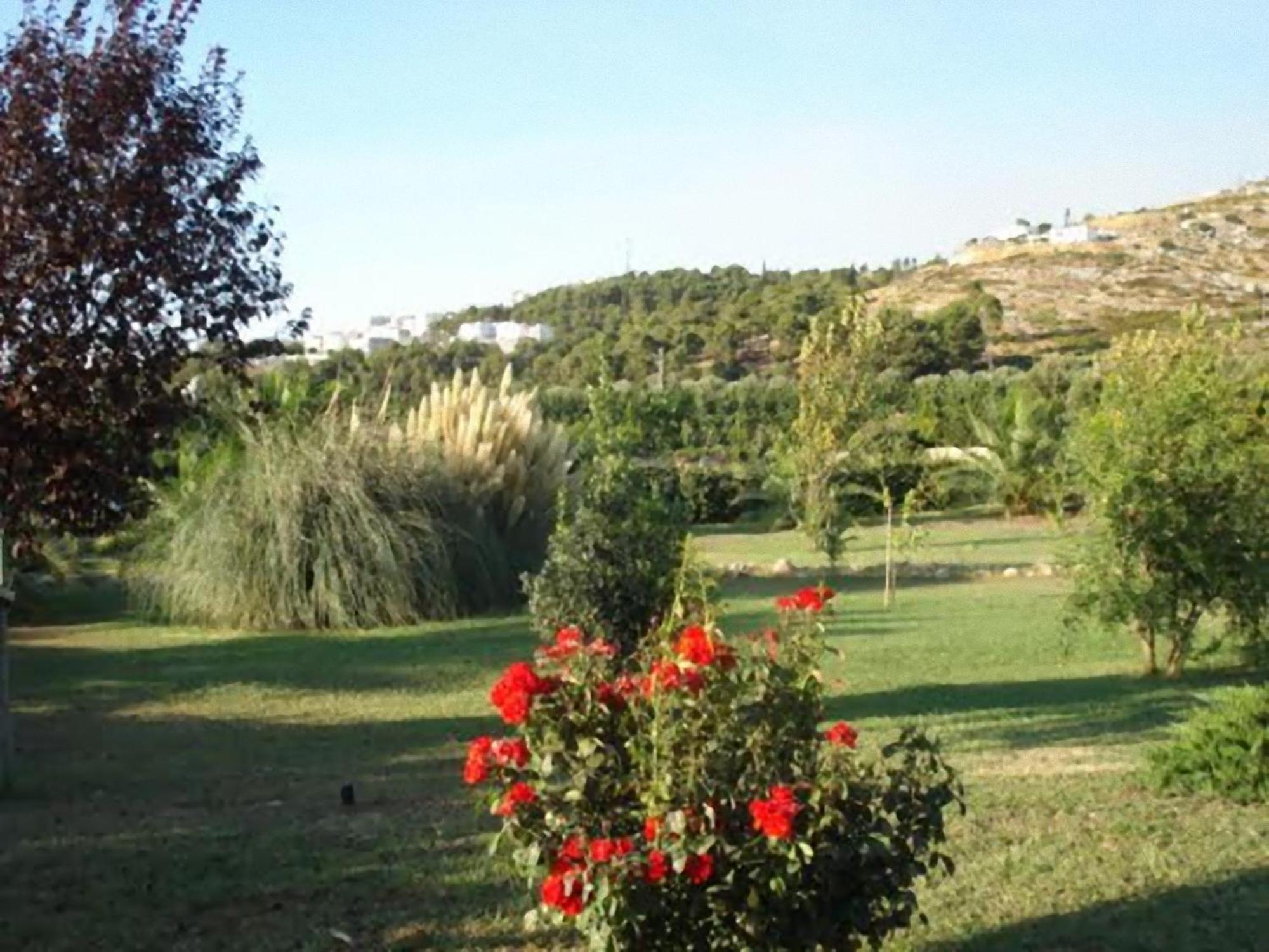 Vila La Piana Di Calena Peschici Exteriér fotografie