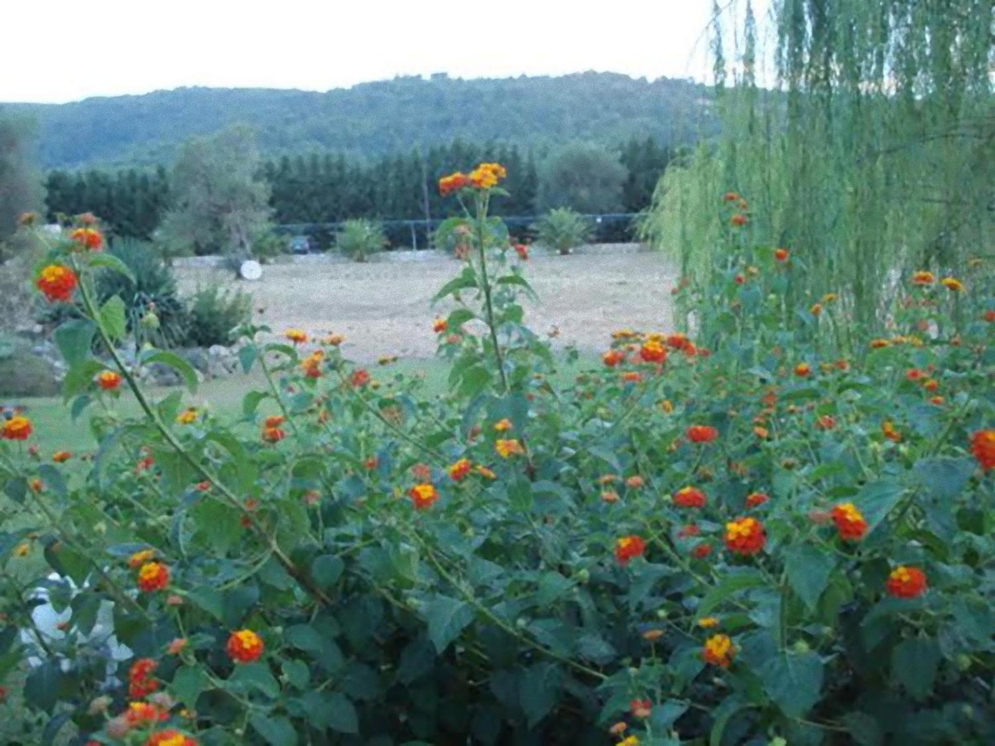 Vila La Piana Di Calena Peschici Exteriér fotografie