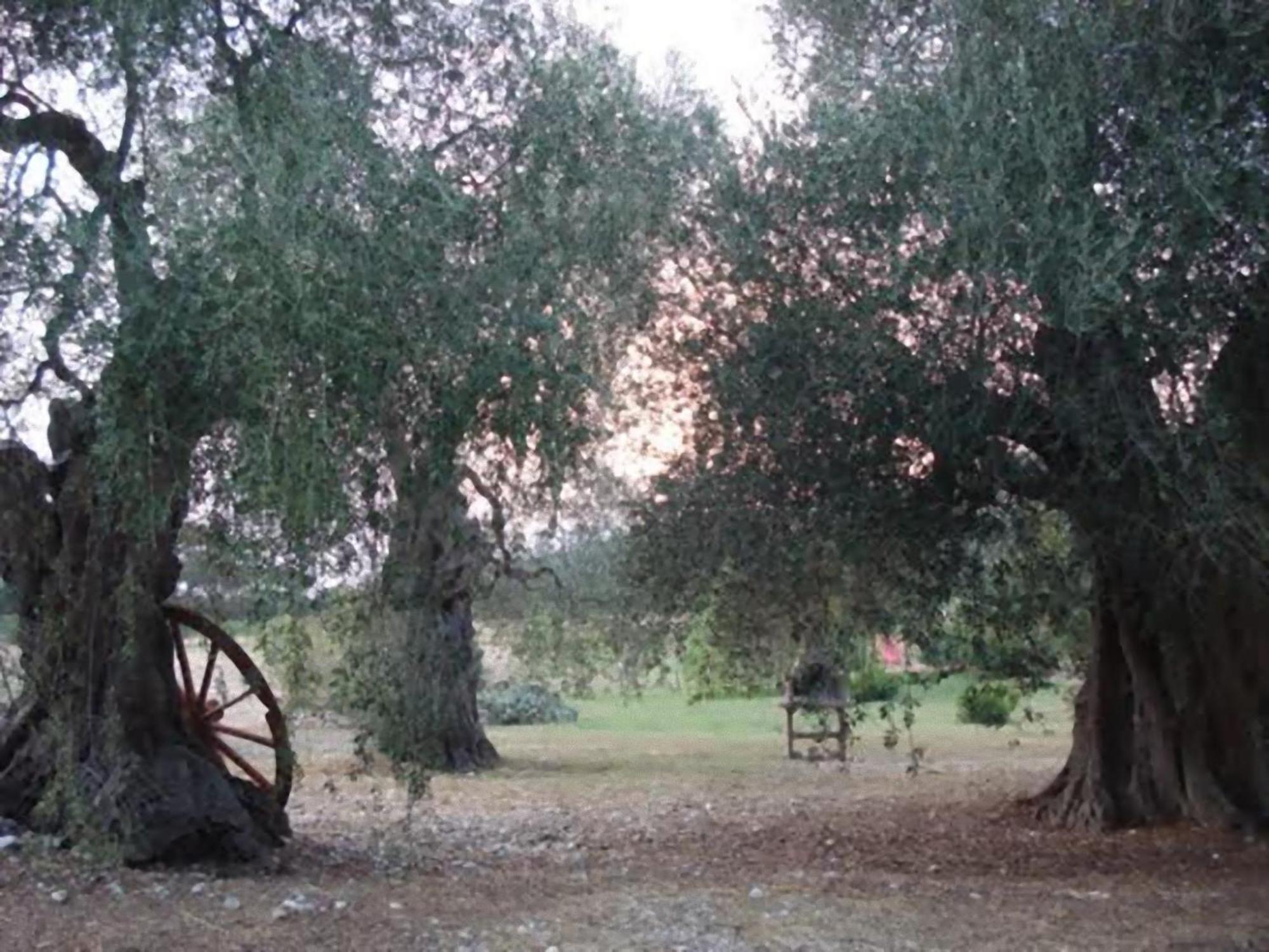 Vila La Piana Di Calena Peschici Exteriér fotografie