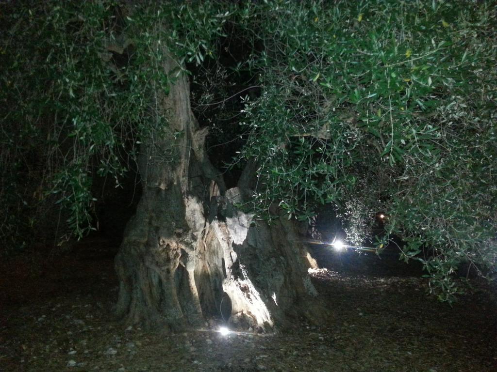 Vila La Piana Di Calena Peschici Exteriér fotografie