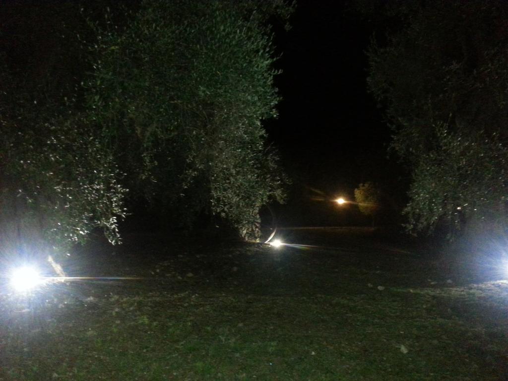 Vila La Piana Di Calena Peschici Exteriér fotografie